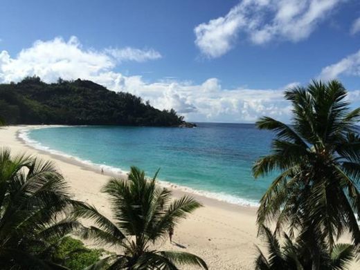 Anse Intendance Beach Wedding