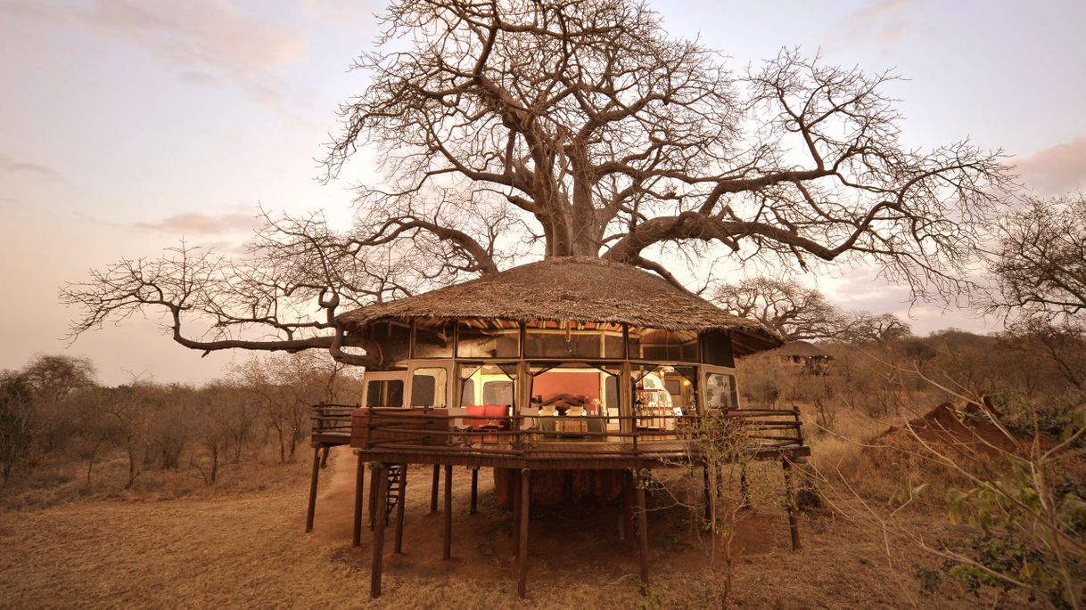 Place Tarangire Treetops by Elewana