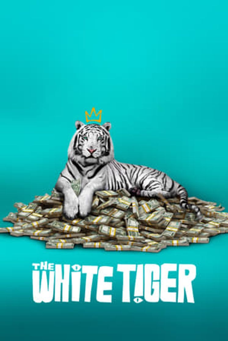 Movie Tigre Blanco