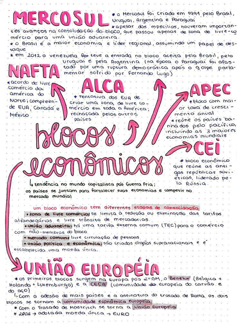 Moda Blocos econômicos resumão.