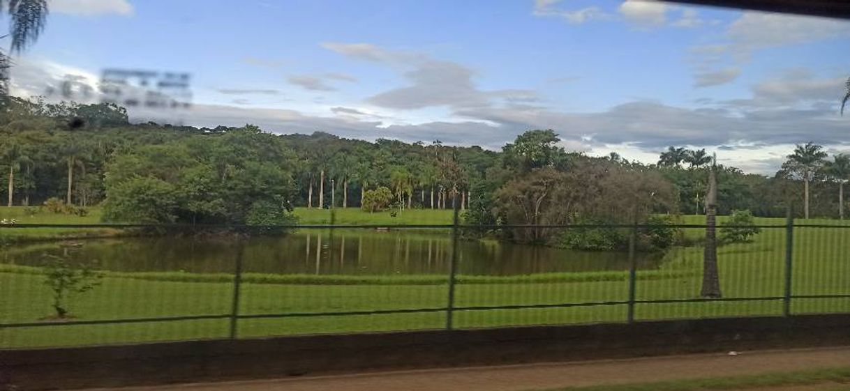 Moda Jardim botânico de são Paulo.