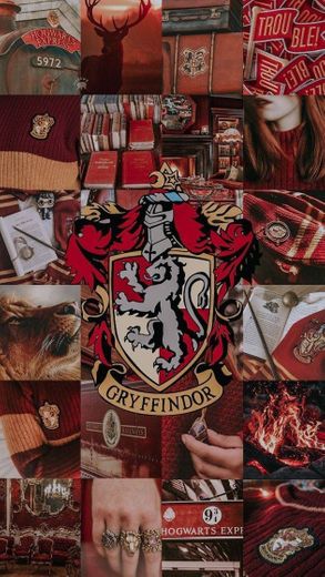 Wallpaper Gryffindor ♥️