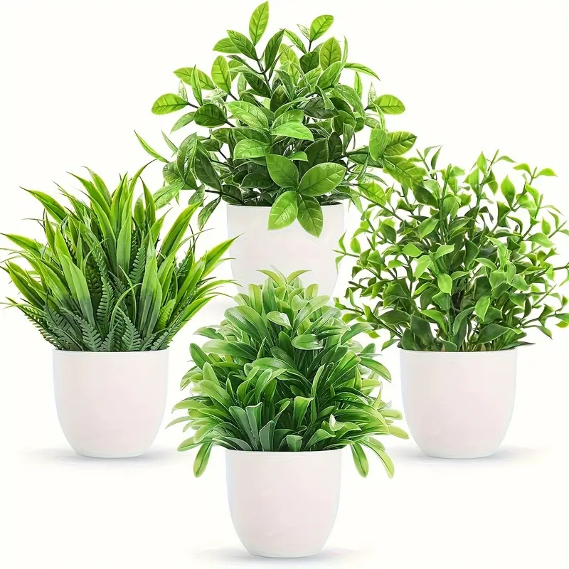 Social Plantas 