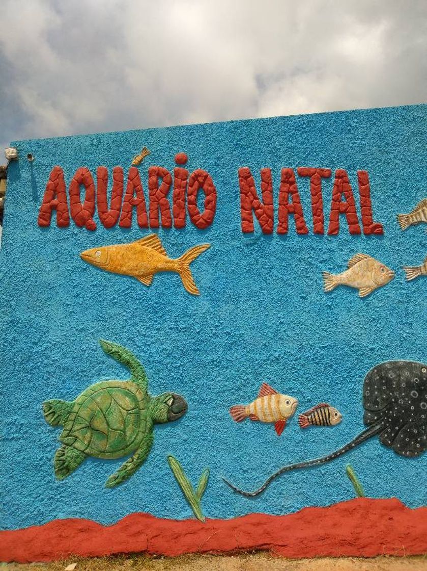 Place Aquário Natal