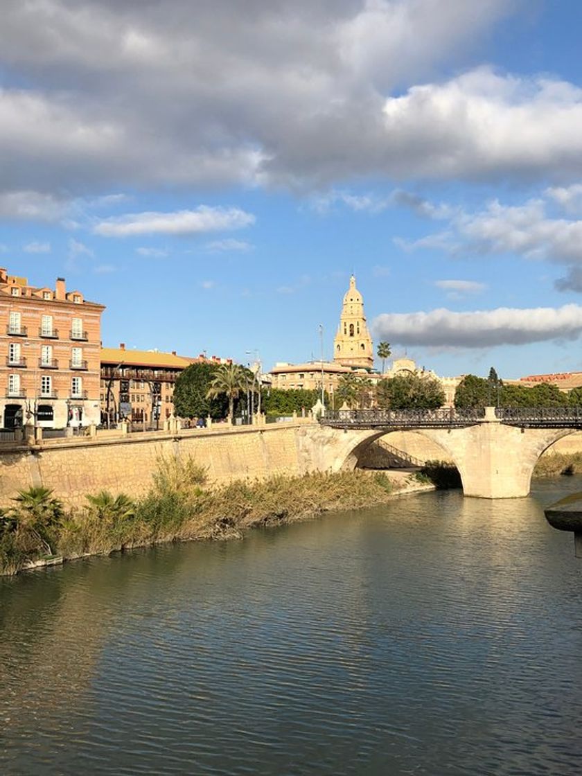 Place Paseo Malecón