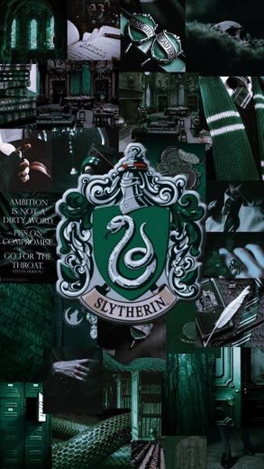 Slytherin🐍🖤