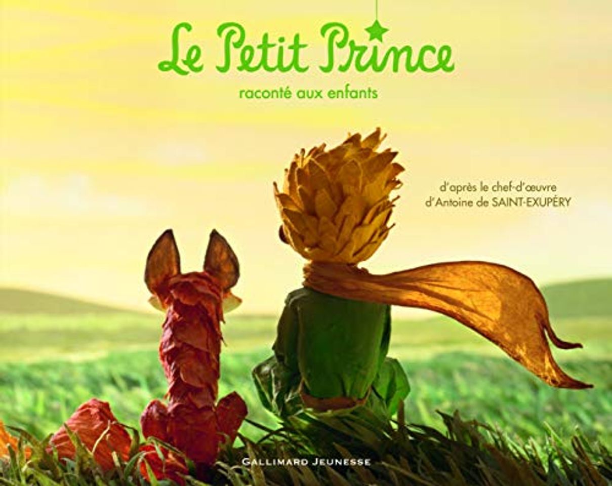 Books Le Petit Prince raconté aux enfants