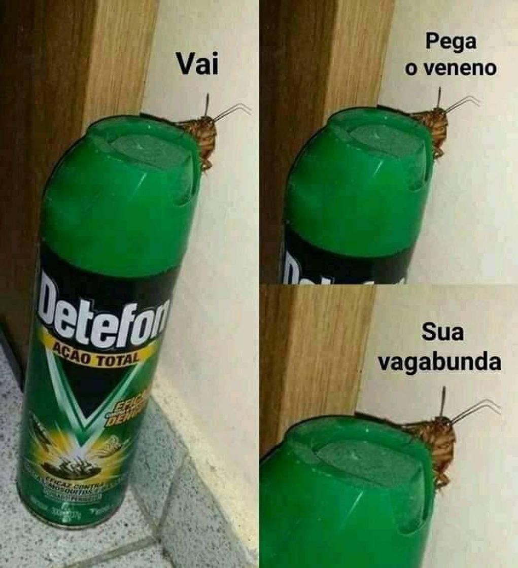 Moda Sem mas kkk