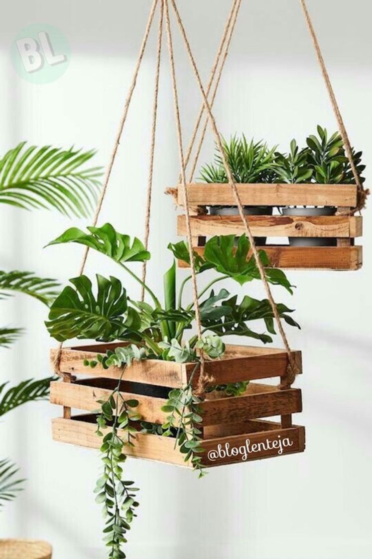 Product Inspiração de plantas 🌱 