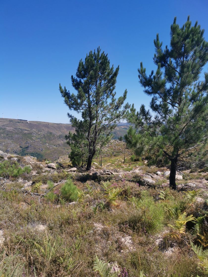 Place Gerês