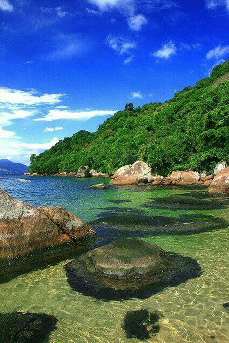 Moda Praia Da Feiticeira em Ilha Grande RJ