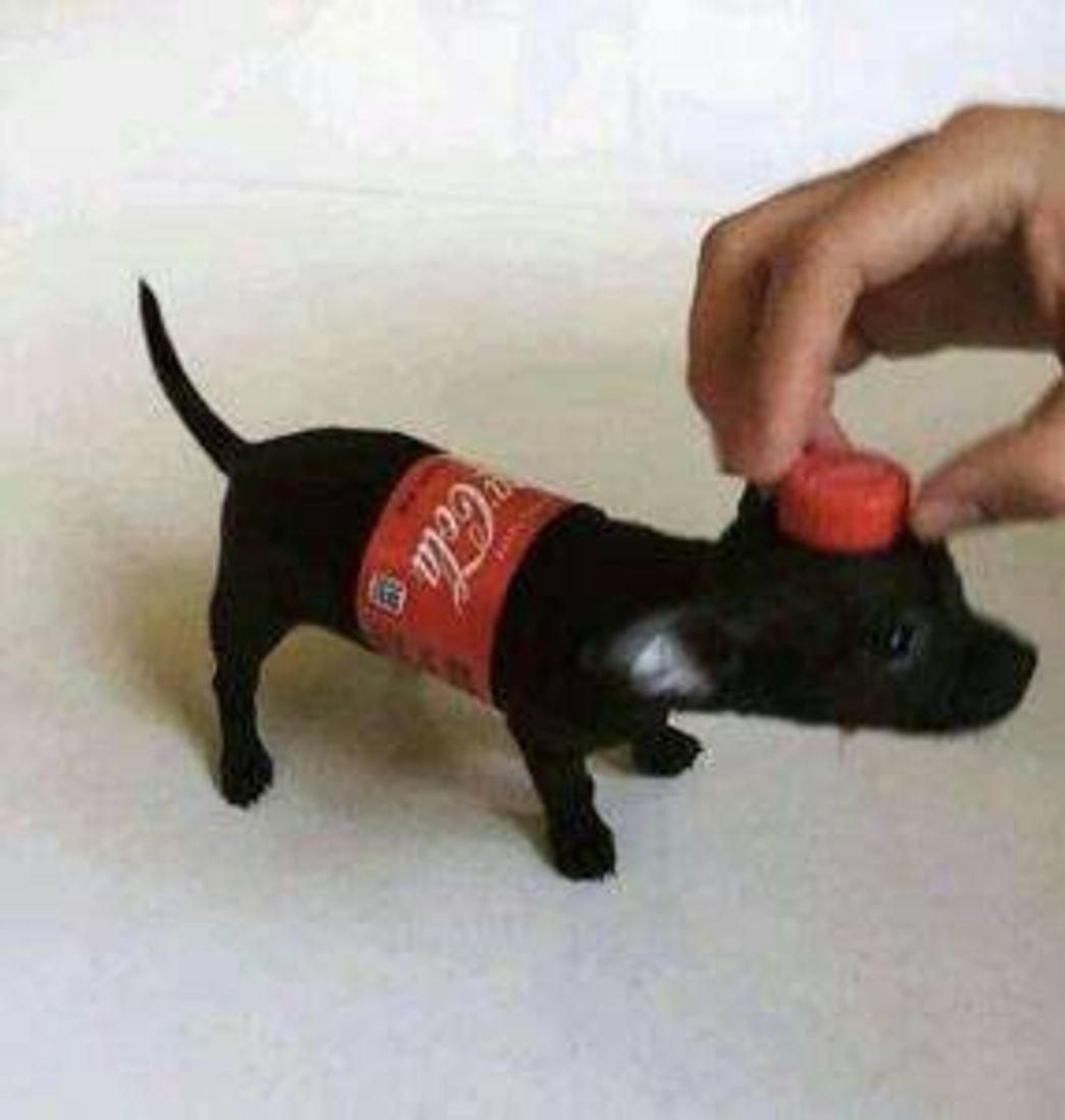 Moda Dog Cola