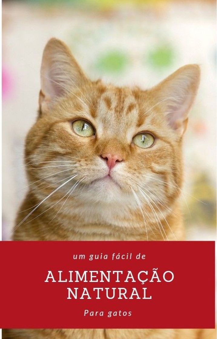 Book Alimentação natural para gatos