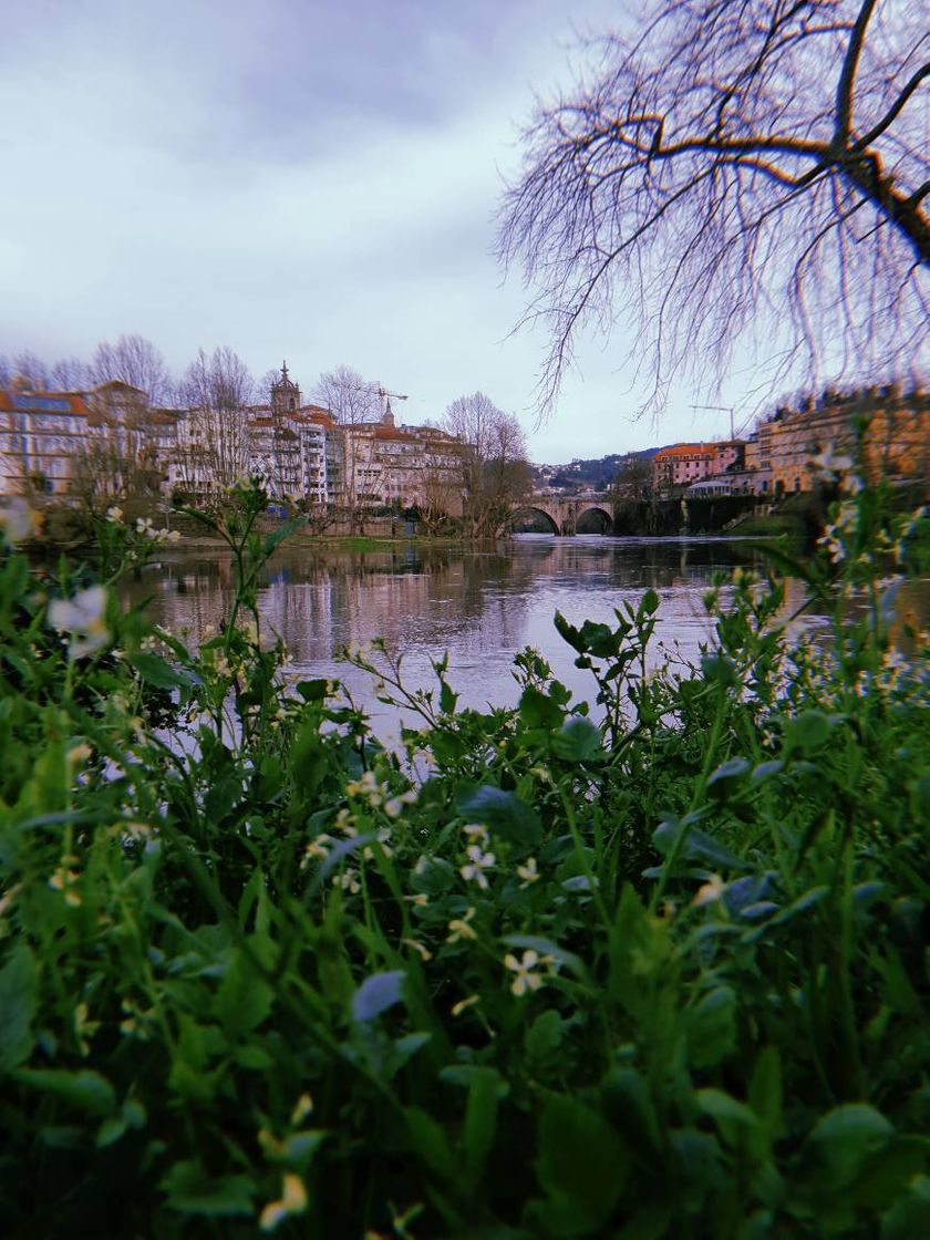 Lugar Ponte de São Gonçalo