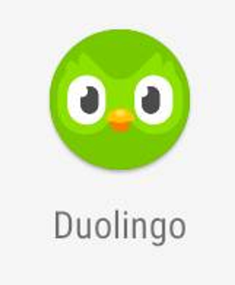 Fashion Duolingo