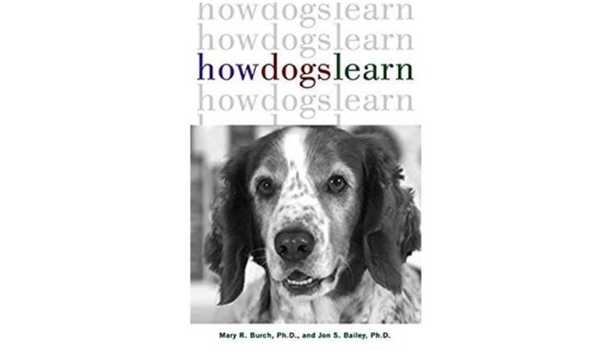 Book How Dogs Learn