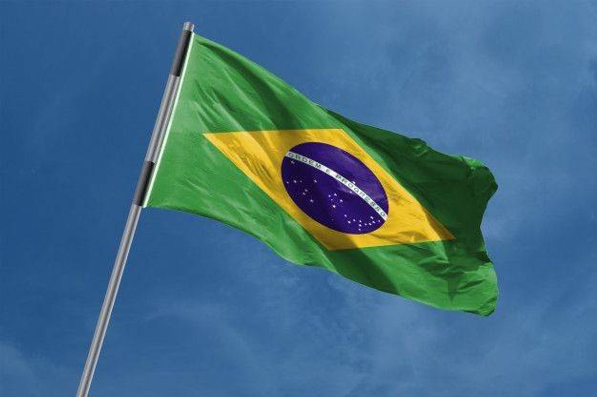 Fashion Brazil flag