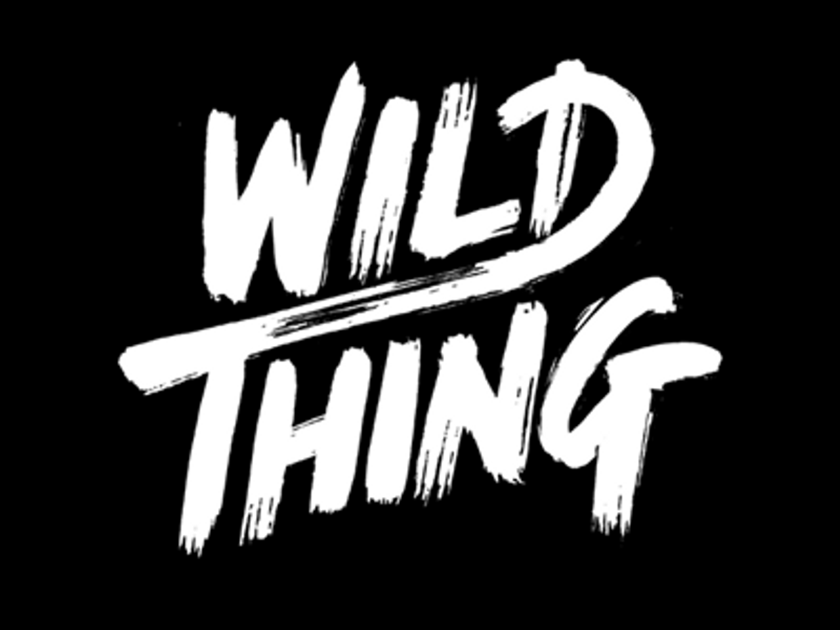 Music Wild Thing