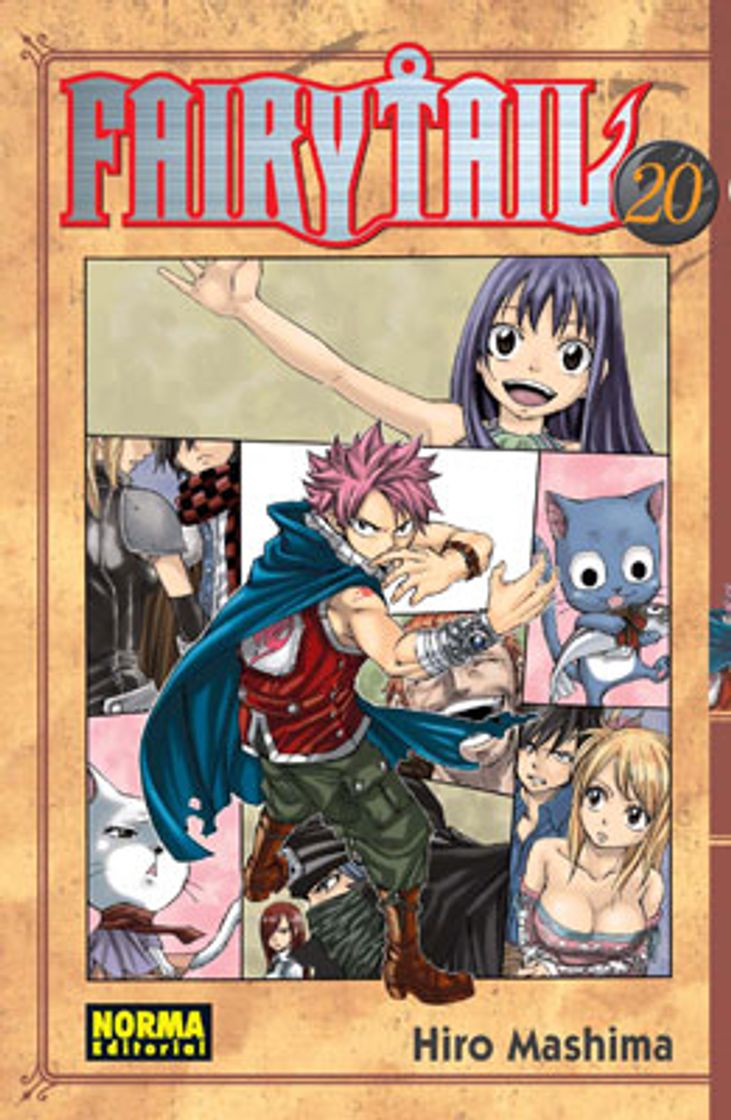 Book Fairy Tail 20