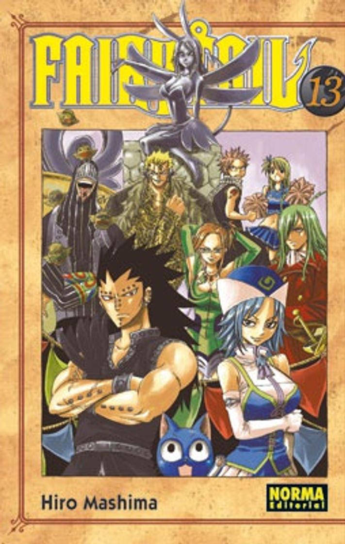 Books Fairy Tail Vol 13