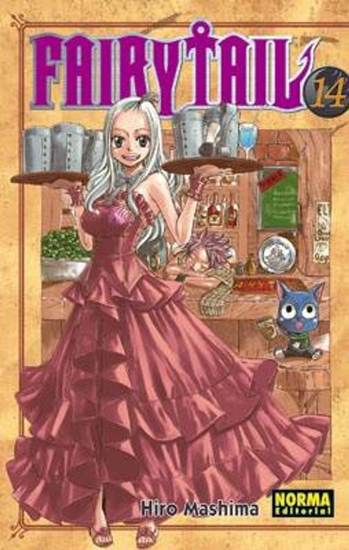 Books Fairy Tail Vol 14