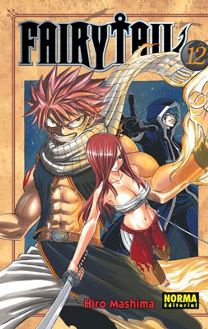 Books Fairy Tail 12