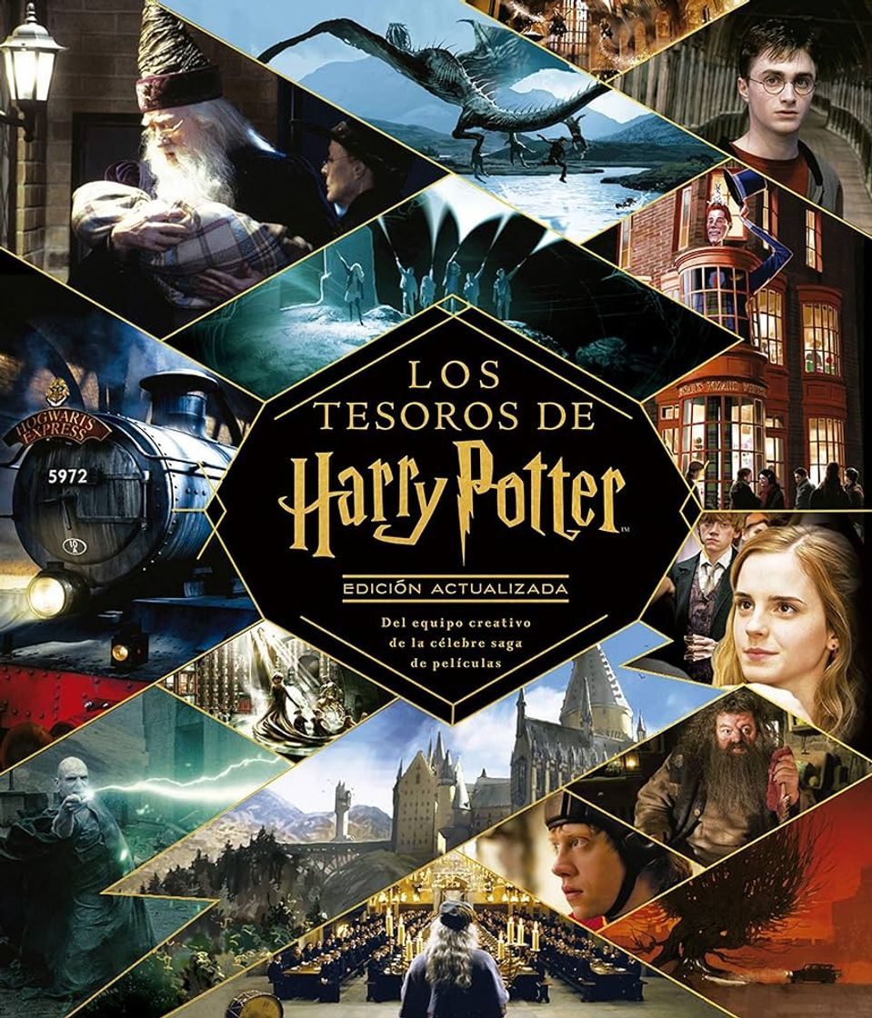 Book Los tesoros de Harry Potter 