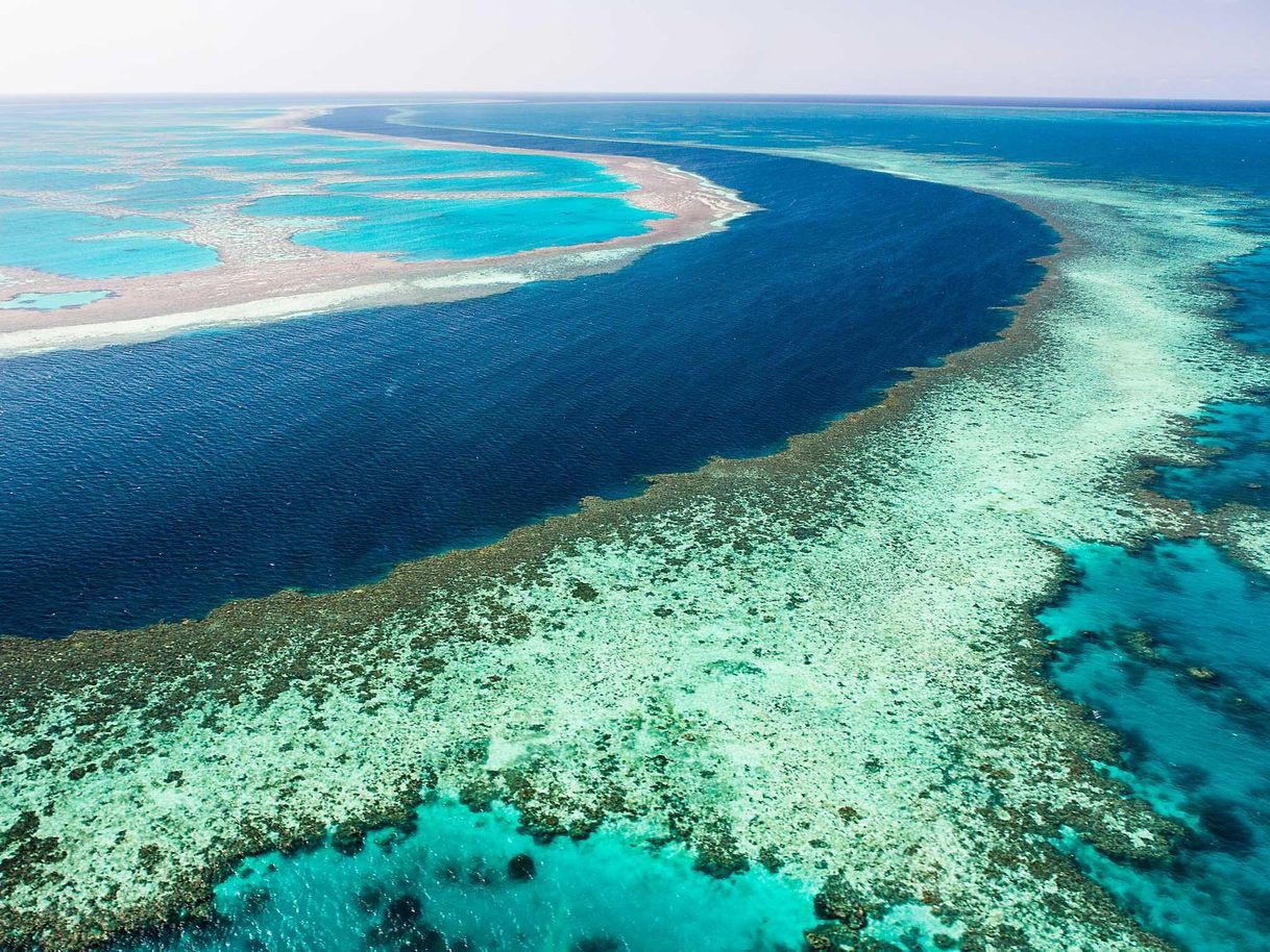 Place Great Barrier Reef