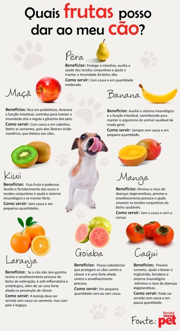 Moda Frutas que posso dar ao meu Cão 