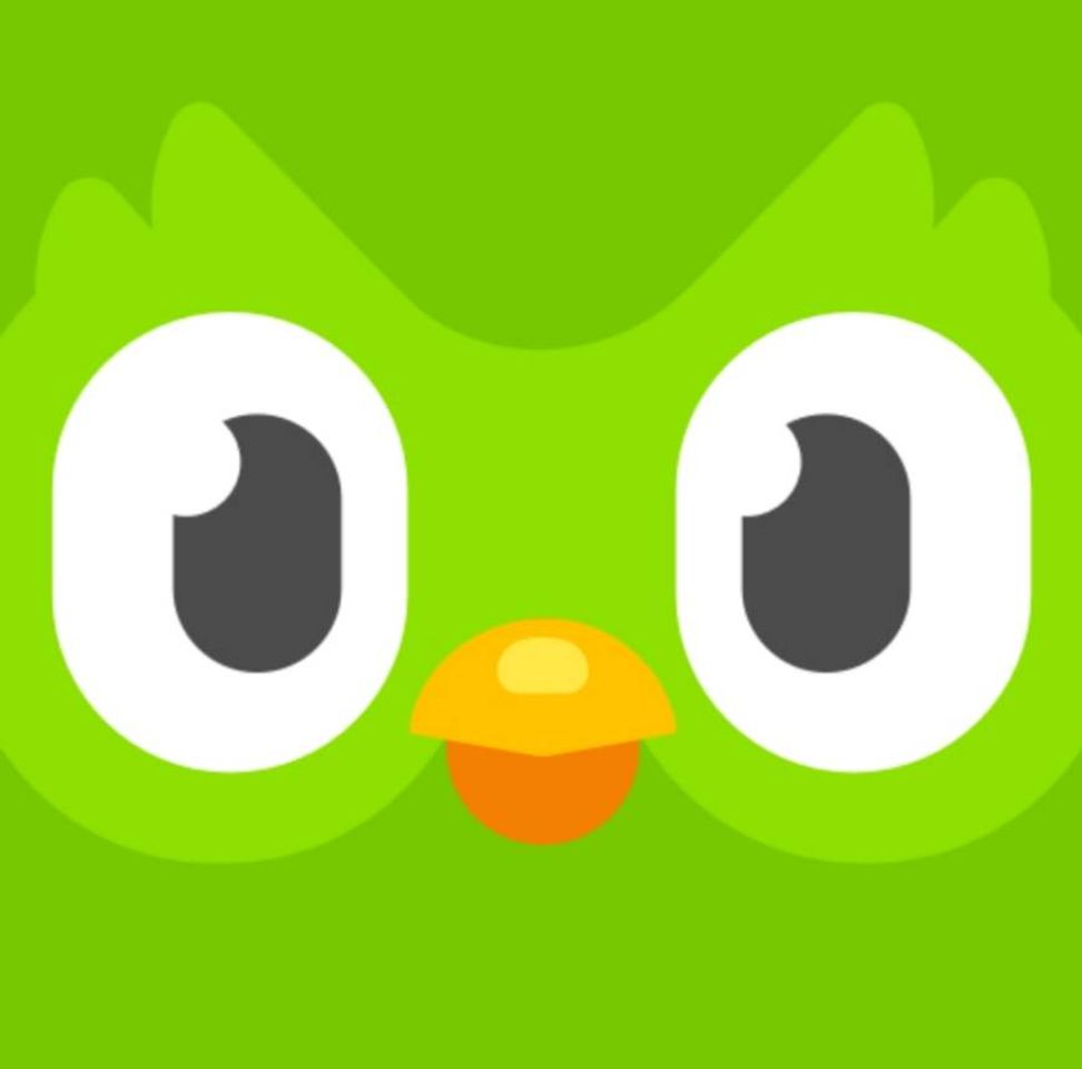 App Duolingo - Language Lessons