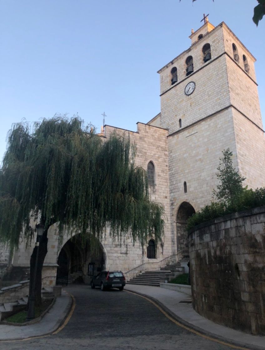 Lugar Catedral de Santander