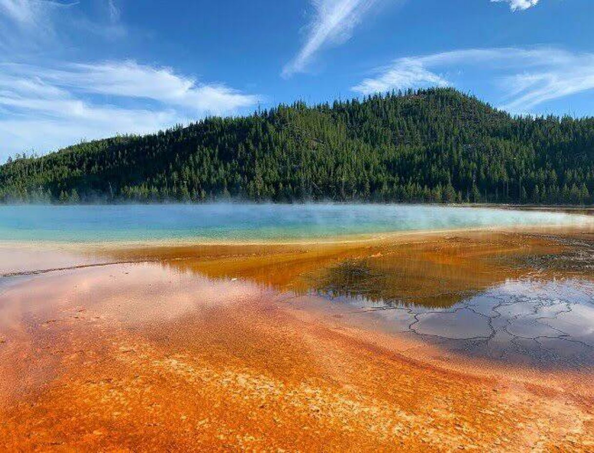 Lugar Parque Nacional Yellowstone