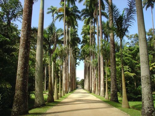 Jardim Botânico