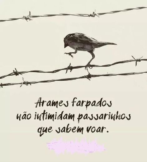 Passarinhos