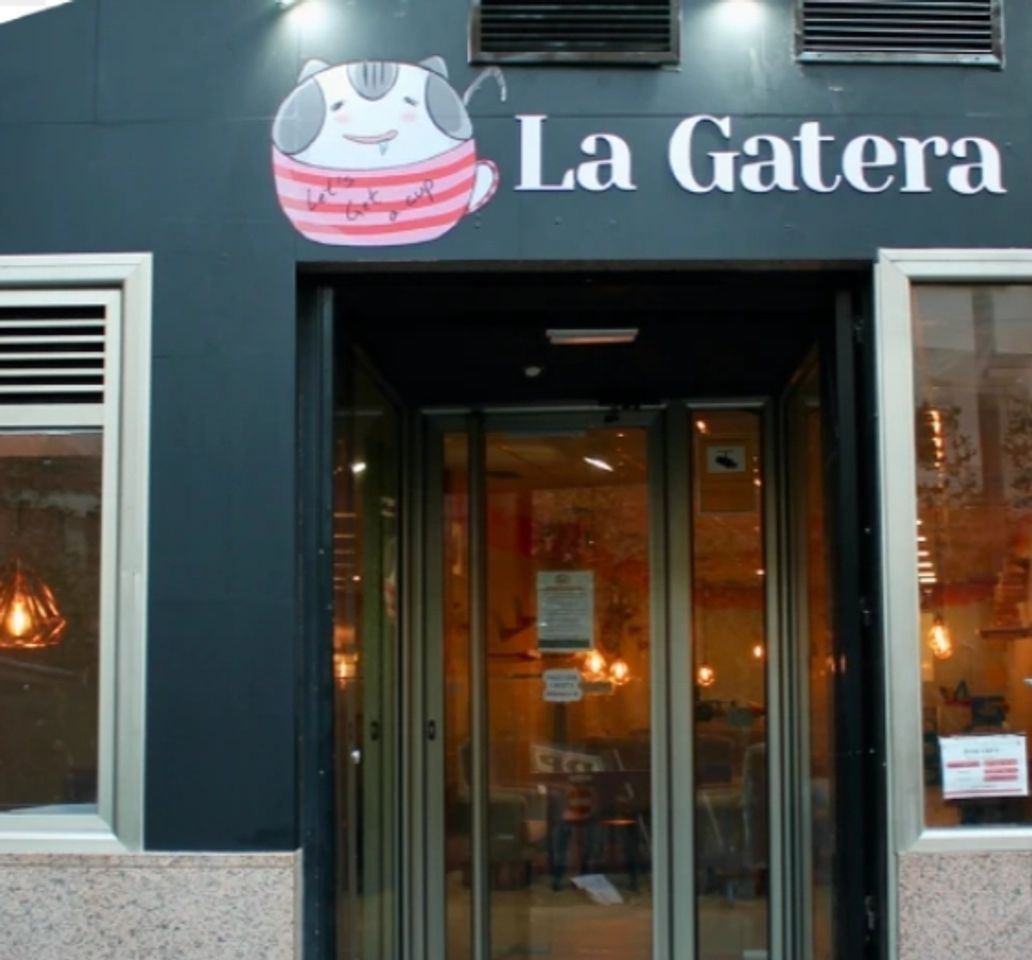 Places La Gatera - Cat Café