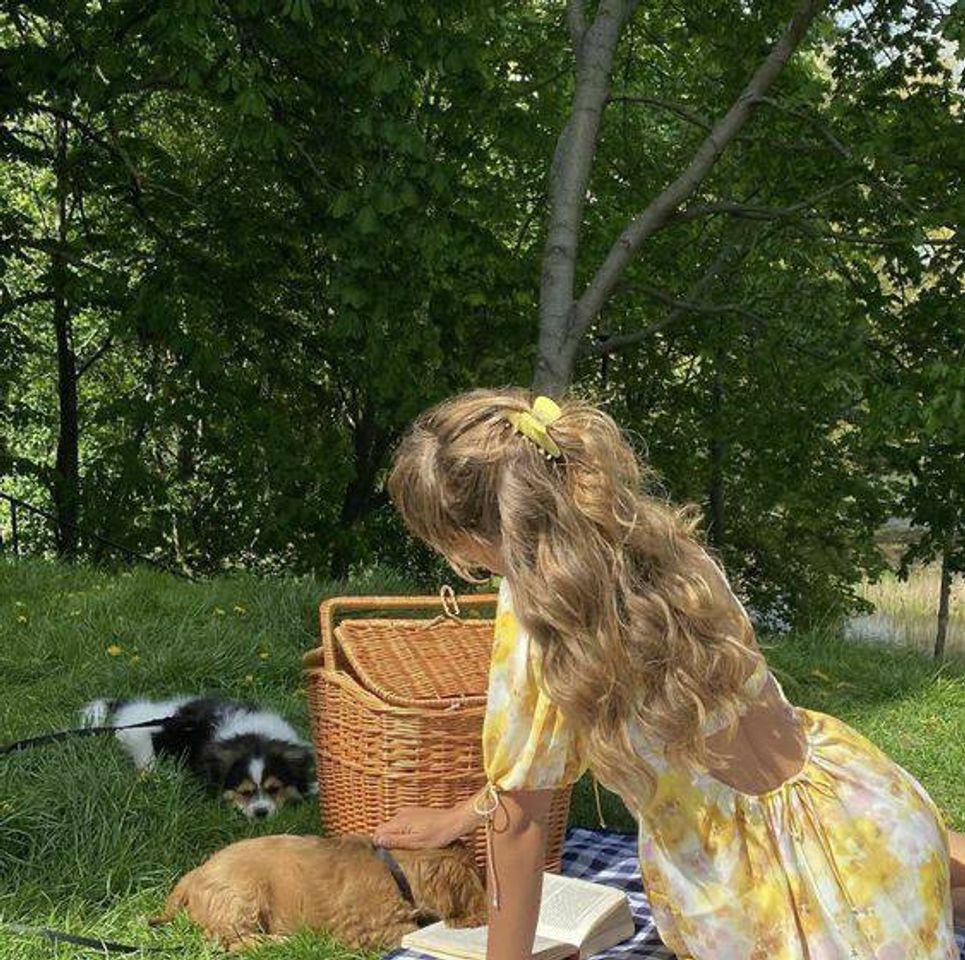 Social Cottagecore aesthetic