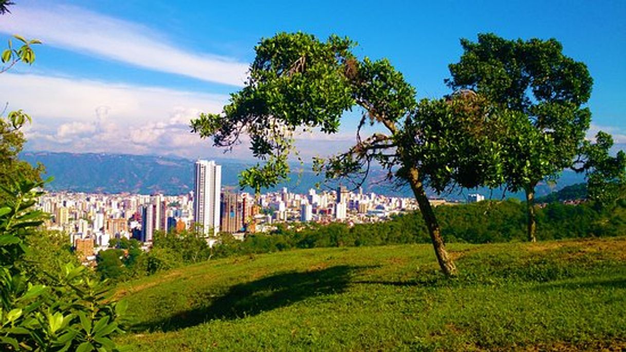 Lugar Bucaramanga