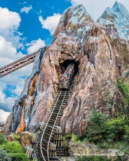 Disney animal kingdom