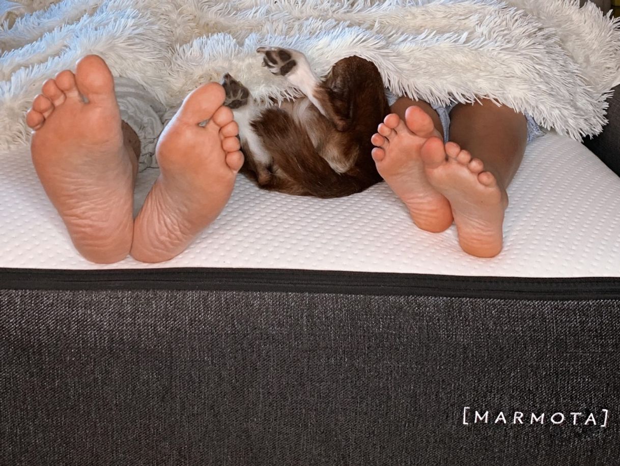 Social El colchón viscoelástico por excelencia