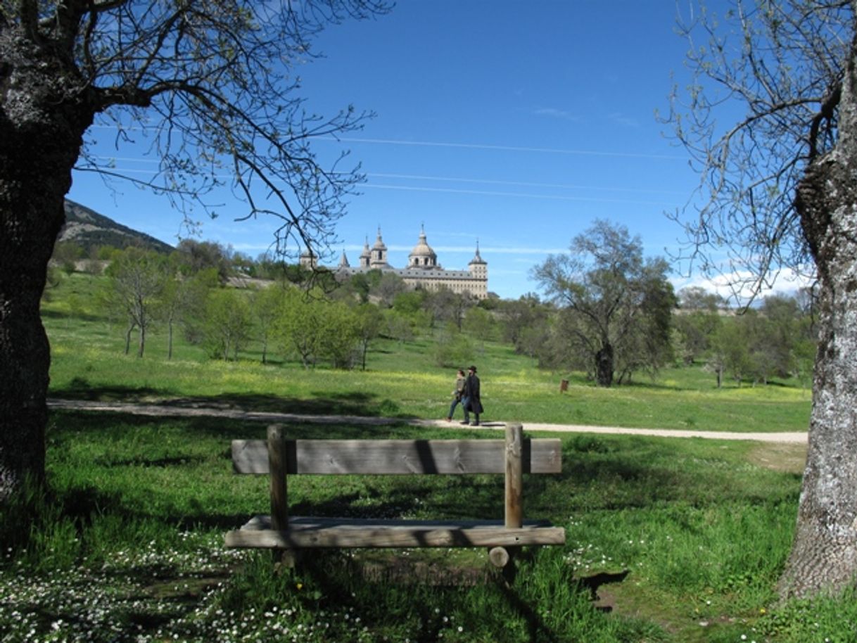 Lugar Bosque de La Herrería