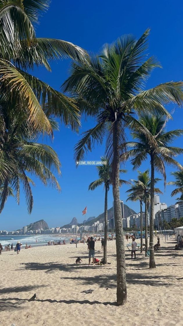 Place Rio de Janeiro