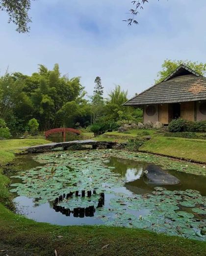 Jardín Botánico Lankester