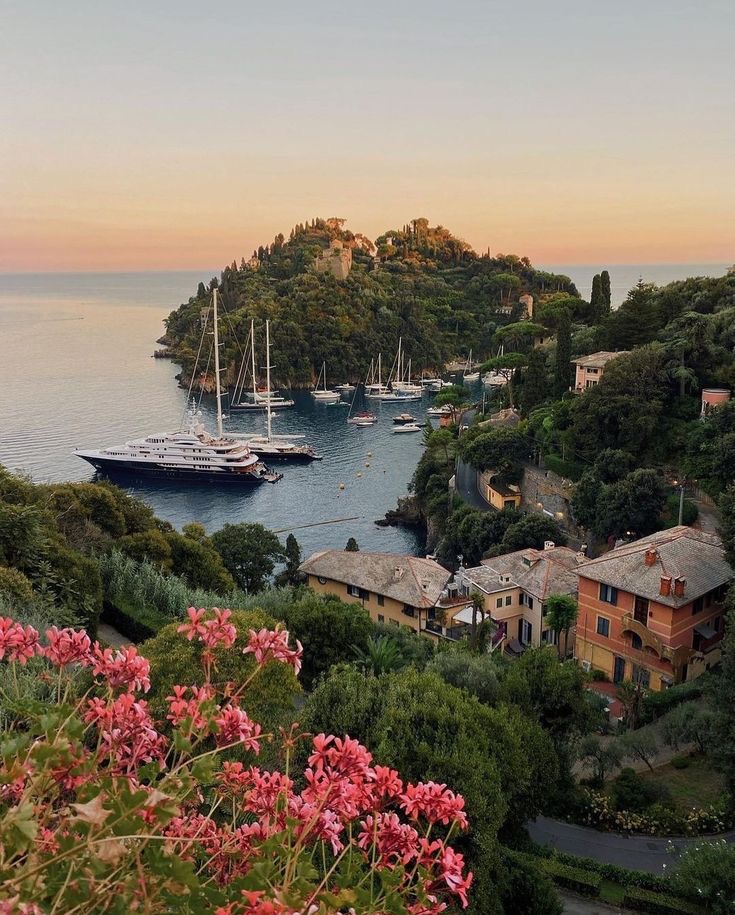 Social Portofino