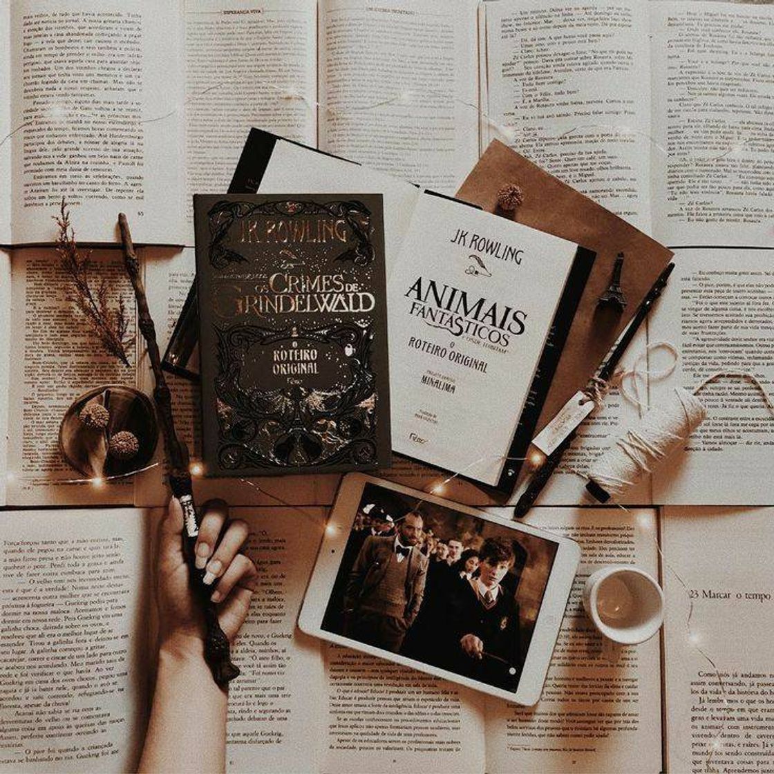 Book Animais Fantásticos