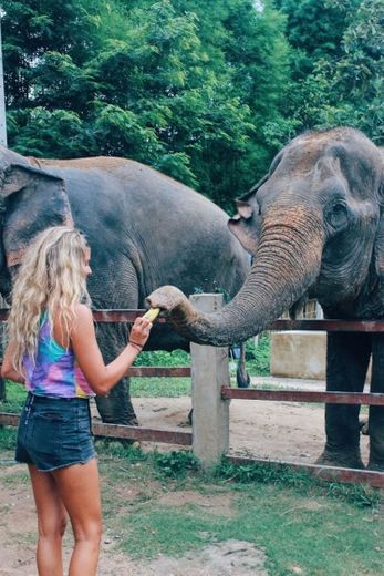 Tailandia