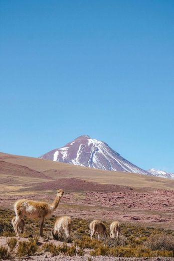 Atacama desert