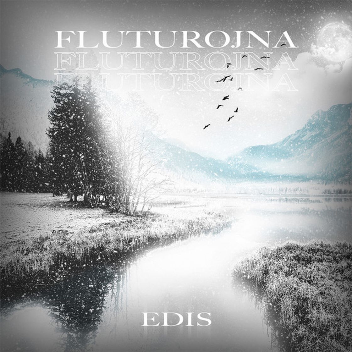 Music Fluturojna