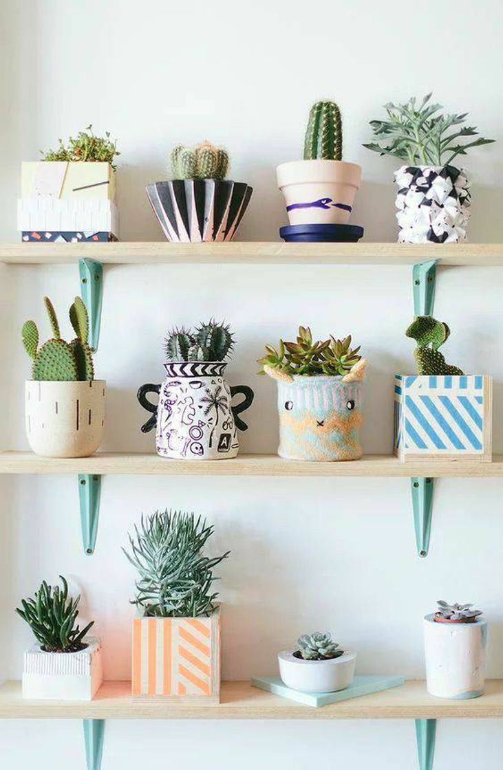 Fashion parede de plantas🌿