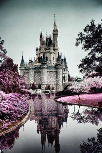 Disney Castle Infrared