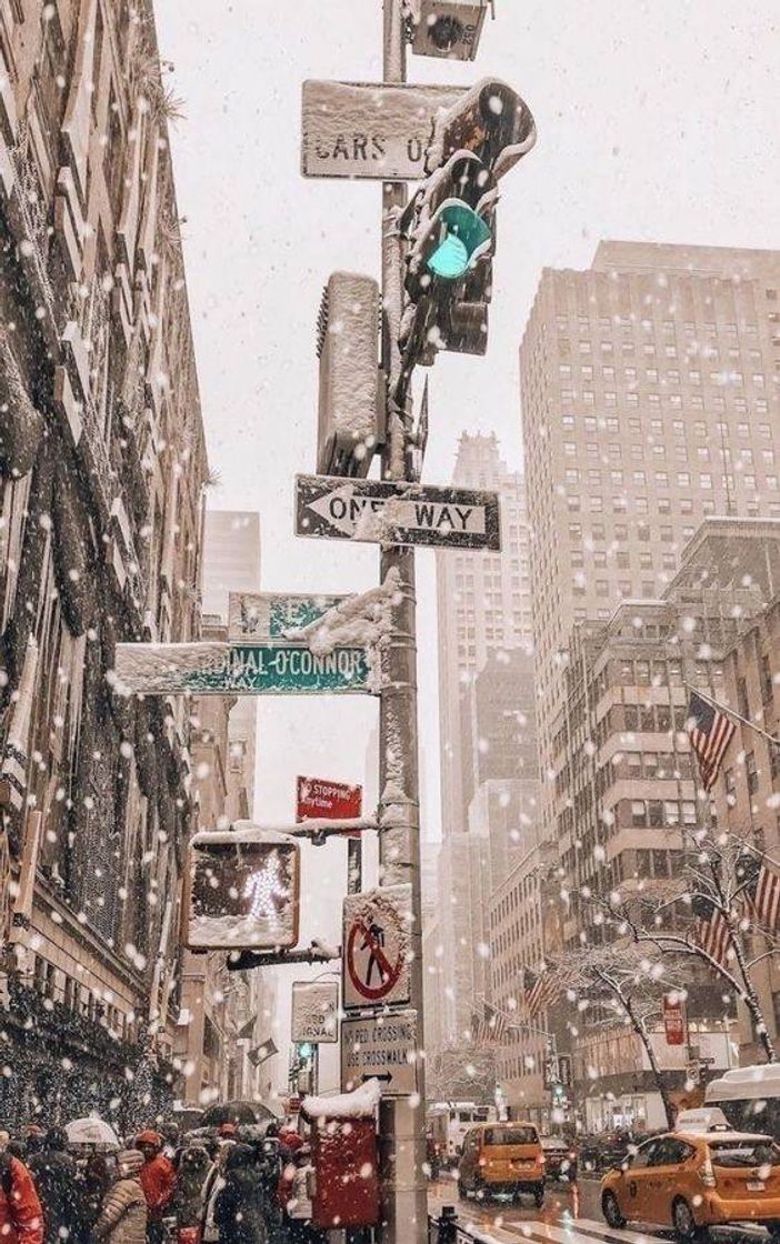 Lugar Chicago